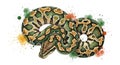 Whimsical watercolor illustration of a coiled ball python with vibrant green and yellow patterns Royalty Free Stock Photo