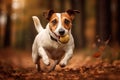 A playful and energetic Jack Russell Terrier chasing a ball, showing off its high energy and playful nature. Generative AI