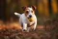 A playful and energetic Jack Russell Terrier chasing a ball, showing off its high energy and playful nature. Generative AI