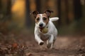 A playful and energetic Jack Russell Terrier chasing a ball, showing off its high energy and playful nature. Generative AI