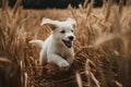 A playful and energetic puppy running through a field. Generative AI