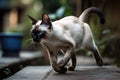 A playful and energetic Siamese cat chasing a toy, showing off its playful and energetic nature. Generative AI