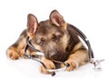 Playful German Shepherd puppy with a stethoscope on his neck. isolated on white background Royalty Free Stock Photo