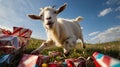 Playful Goat Running Towards Presents in a Field Royalty Free Stock Photo