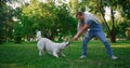 Playful golden retriever pulling leash. Owner playing with harness in park.