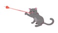 Playful Grey Cat Chasing Laser Pointer Vector, vector design Generative AI Royalty Free Stock Photo