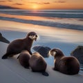 A playful group of sea otters exchanging clams as they count down to midnight on the shore4