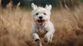 Playful happy cute smiling pet dog puppy running, jumping in the grass. Generative AI Royalty Free Stock Photo