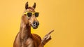 Playful horse wearing stylish sunglasses, isolated on soft pastel background with space for text Royalty Free Stock Photo