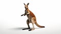 Playful kangaroo photo realistic illustration - Generative AI.