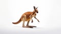 Playful kangaroo photo realistic illustration - Generative AI.