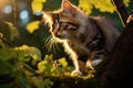 A playful kitten climbing up a tree branch.