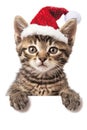 Playful kitten in festive hat peeking from behind blank sign, adorable christmas scene