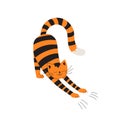 Playful kitten is naughty, making scratches. Tabby cat stretches and frolicsome. Impish tiger cub, flat cartoon character.Isolated Royalty Free Stock Photo