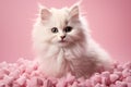 playful kitten peeking from heart-shaped cutout, light background, pet love concept