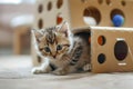 Playful kitten peeking out of a cardboard play box with holes in a home setting, showcasing curiosity