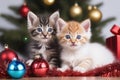 Playful kittens engage with tinsel and festive balls