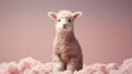 Dreamy Minimalist Photography: White Lamb In Pink Clouds