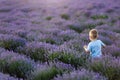 Playful little cute child baby boy walk on purple lavender flower meadow field background, run, have fun, play, enjoy Royalty Free Stock Photo