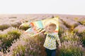 Playful little cute child baby boy walk on purple lavender flower meadow field, run, have fun, play with colorful kite Royalty Free Stock Photo