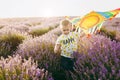 Playful little cute child baby boy walk on purple lavender flower meadow field, run, have fun, play with colorful kite Royalty Free Stock Photo