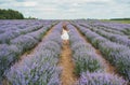 Playful little cute child baby girl walk on purple lavender flower meadow field background. Back view Royalty Free Stock Photo