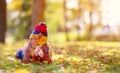 Playful little girl hiding her face behind autumnal leaf in the park. Royalty Free Stock Photo