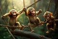 Playful Monkey Troop