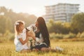 Playful mood. Woman and little girl have a walk with dog on the field at sunny daytime Royalty Free Stock Photo