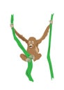 Playful orangutan Royalty Free Stock Photo