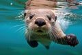 Playful Otter cute underwater. Generate Ai Royalty Free Stock Photo