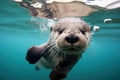 Playful Otter underwater. Generate Ai Royalty Free Stock Photo
