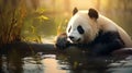 Playful Panda Resting By Tree: Soft-light Photography With Chinapunk Vibes