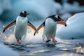 Playful penguins sliding on ice in a charming Arctic scene