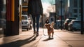 Playful pets with their friends and families. Walk with pet in city. AI-Generated