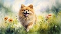 Playful Pomeranian: Speedpainting Of A Happy Dog In A Flower-filled Meadow