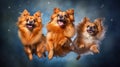 Playful Pomeranian Trio Catching Airborne Treats in Vibrant Isolation. Generative AI