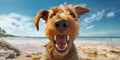 Playful Pooch Airedale Terrier Dog with a Cute Smile in Sunglasses Bringing Delight to the Beach Setting. Generative AI Royalty Free Stock Photo