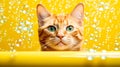 A playful red cat enjoys a bubbly bath in a bathtub Royalty Free Stock Photo