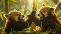Playful red pandas wrestling in bamboo forest with sunlight filtering through leaves Royalty Free Stock Photo