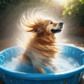 Dog shakes off the water after a play in the water