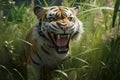 A playful sabertoothed tiger bounding through the tall grass with youthful exuberance.. AI generation