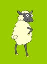 Playful sheep.