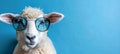 Playful sheep in trendy sunglasses, standing out against pastel backdrop, perfect for adding text.