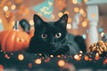 A playful shot of a mischievous black cat surrounded by Halloween decorations Royalty Free Stock Photo