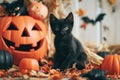 A playful shot of a mischievous black cat surrounded by Halloween decorations Royalty Free Stock Photo