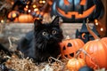 A playful shot of a mischievous black cat surrounded by Halloween decorations Royalty Free Stock Photo