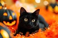 A playful shot of a mischievous black cat surrounded by Halloween decorations Royalty Free Stock Photo