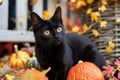 A playful shot of a mischievous black cat surrounded by Halloween decorations Royalty Free Stock Photo