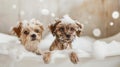 Playful small dogs in a bubbly bathtub, looking adorable and having fun during bath time Royalty Free Stock Photo